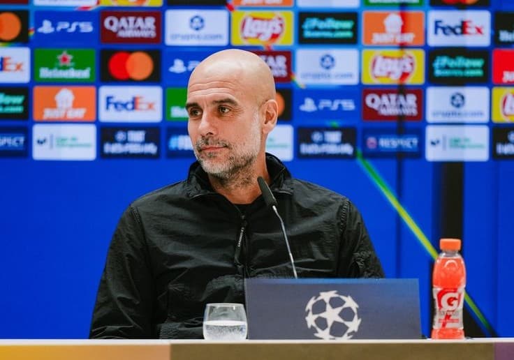 Pelatih Profesional